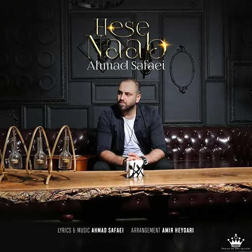 حس ناب