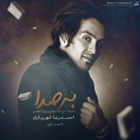 بی صدا