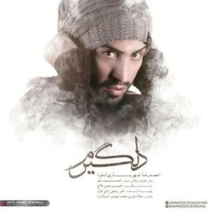 دلگیرم