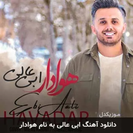 هوادار