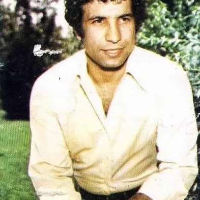 دلمو شکستی