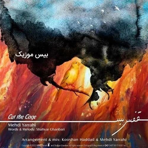 قفس بس