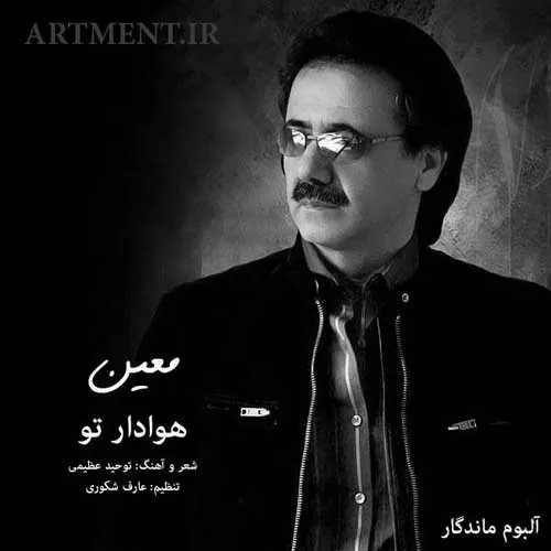 هوادار تو