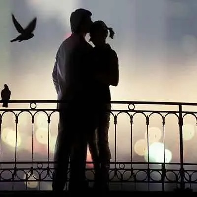 هوشم ببر