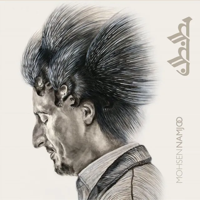 نظم