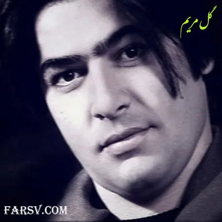 گل مریم