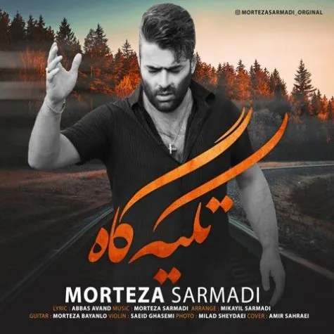 تکیه گاه