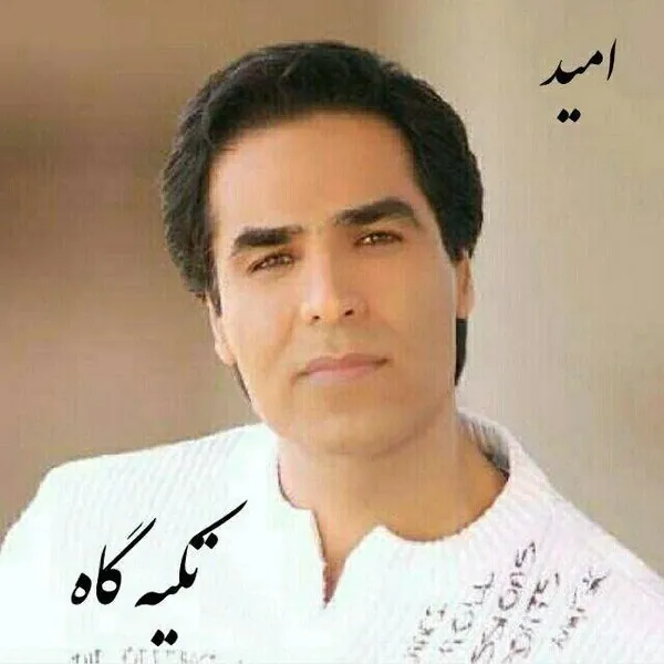 تکیه گاه