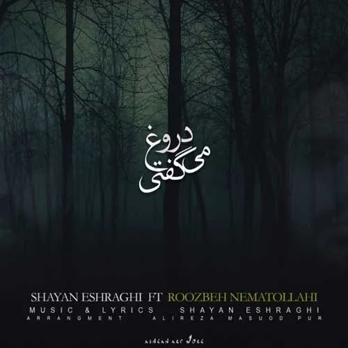دروغ می گفتی