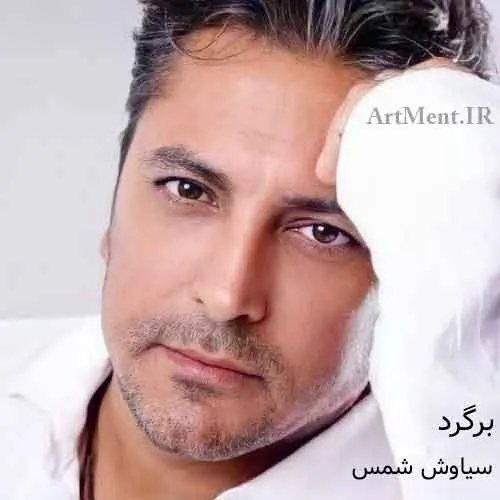 برگرد